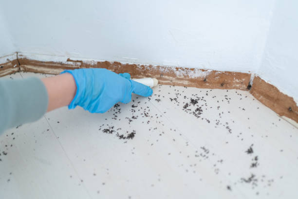 Professional Pest Control in Monticello, UT